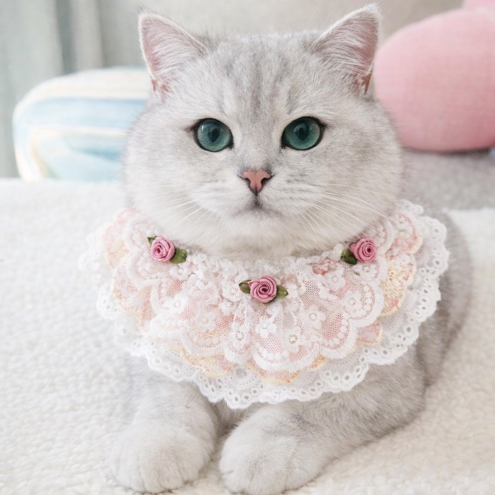 Elegant Pink Floral Cat Collar